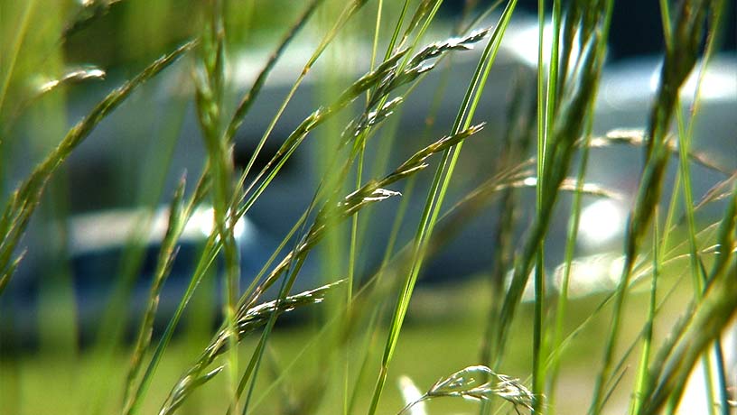 Naturnära boende i Värmland